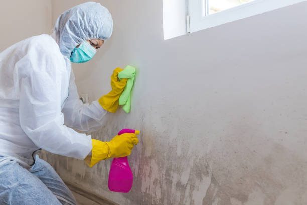 Best Biohazard Mold Removal  in USA